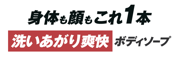 身体も顔もこれ1本 洗いあがり爽快 ボディソープ